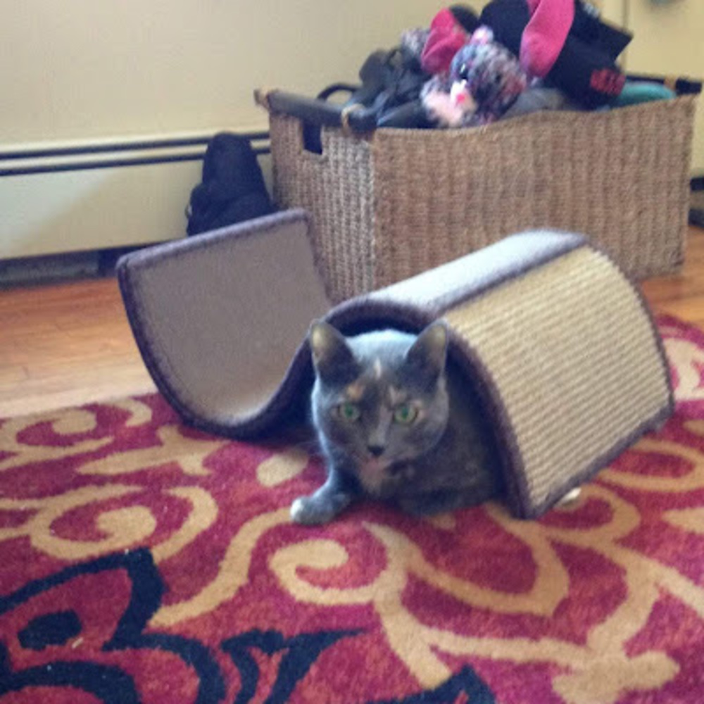 Meet your Posher, Magdalena